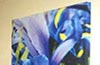 sound absorbing photograph of blue Irises