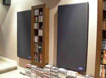 two soundtrap panesl one each side of bookcase